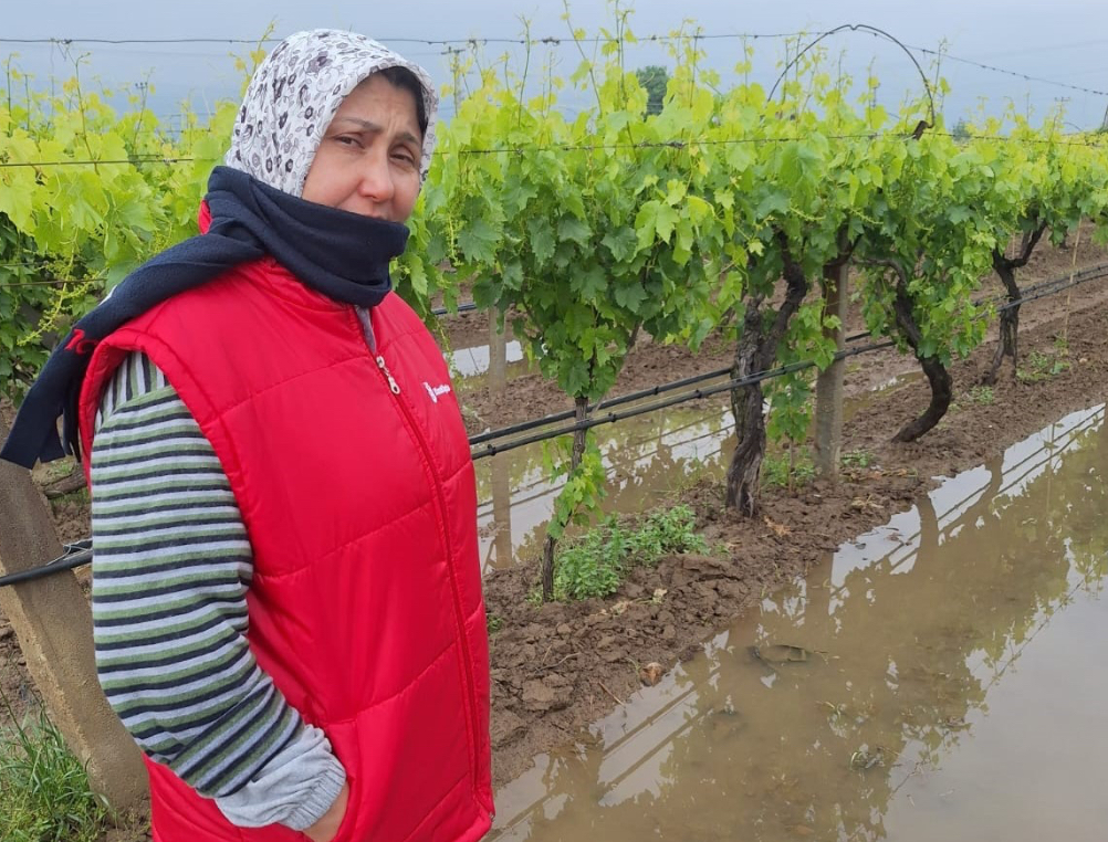 Bahar yağmurları üreticiyi sevindirdi