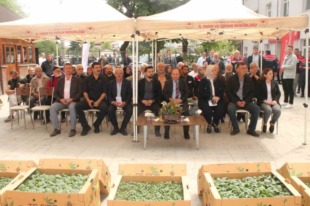 Atıl tarım arazilerinde sebze yetişecek