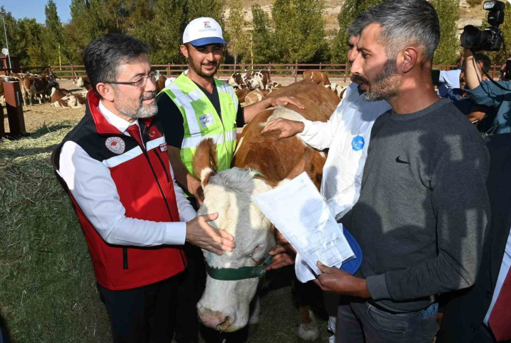 Kurban Bayramı’nda 3,3 Milyon Hayvan Kesildi